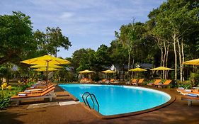 Sandy Beach Bungalows